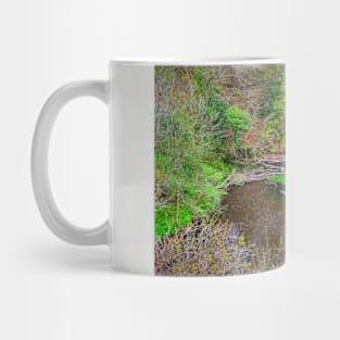 Avon Weir Mug